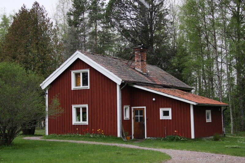 Fil:Knallasbenning14 1.jpg