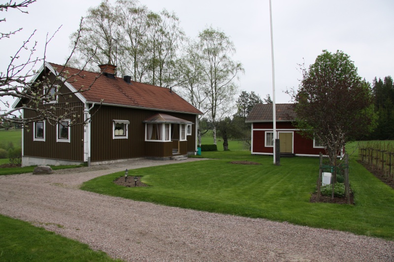 Fil:Knallasbenning 4 1.jpg