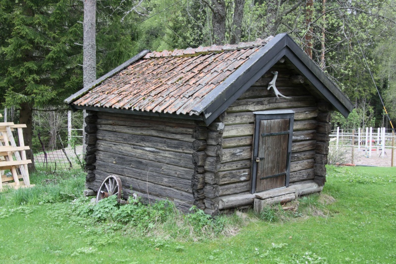 Fil:Knallasbenning 18 1 2.jpg