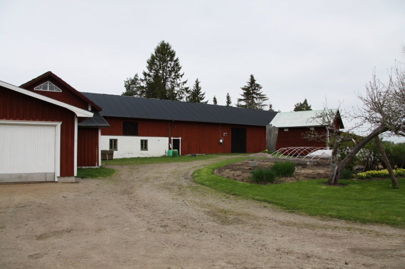 Fil:Knallasbenning 4 1 2.jpg