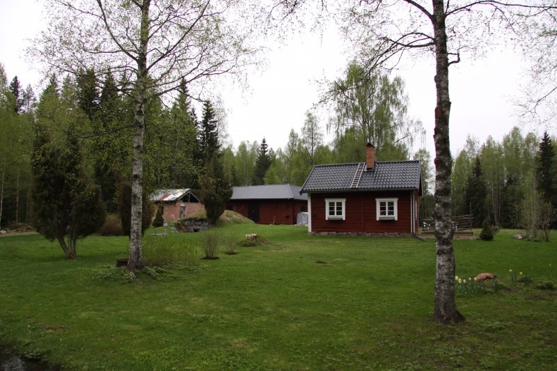 Fil:Knallasbenning 6 4 1.jpg