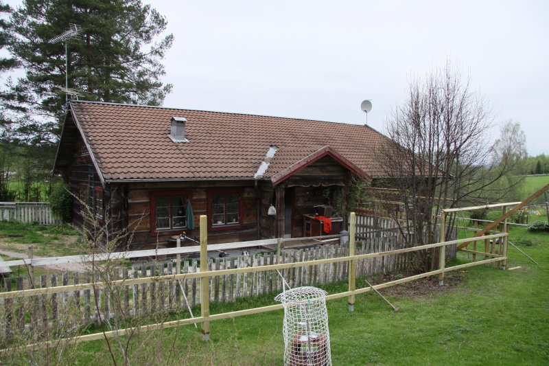 Fil:Knallasbenning 5 6.jpg