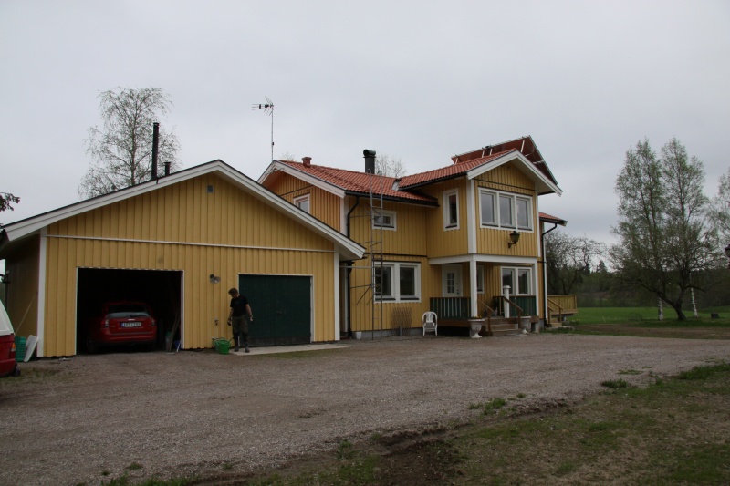 Fil:Knallasbenning 1 1.jpg