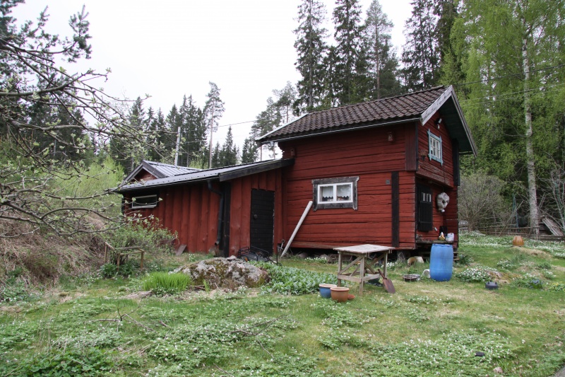 Fil:Knallasbenning 5 6 2.jpg